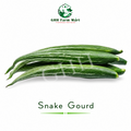Snake Gourd