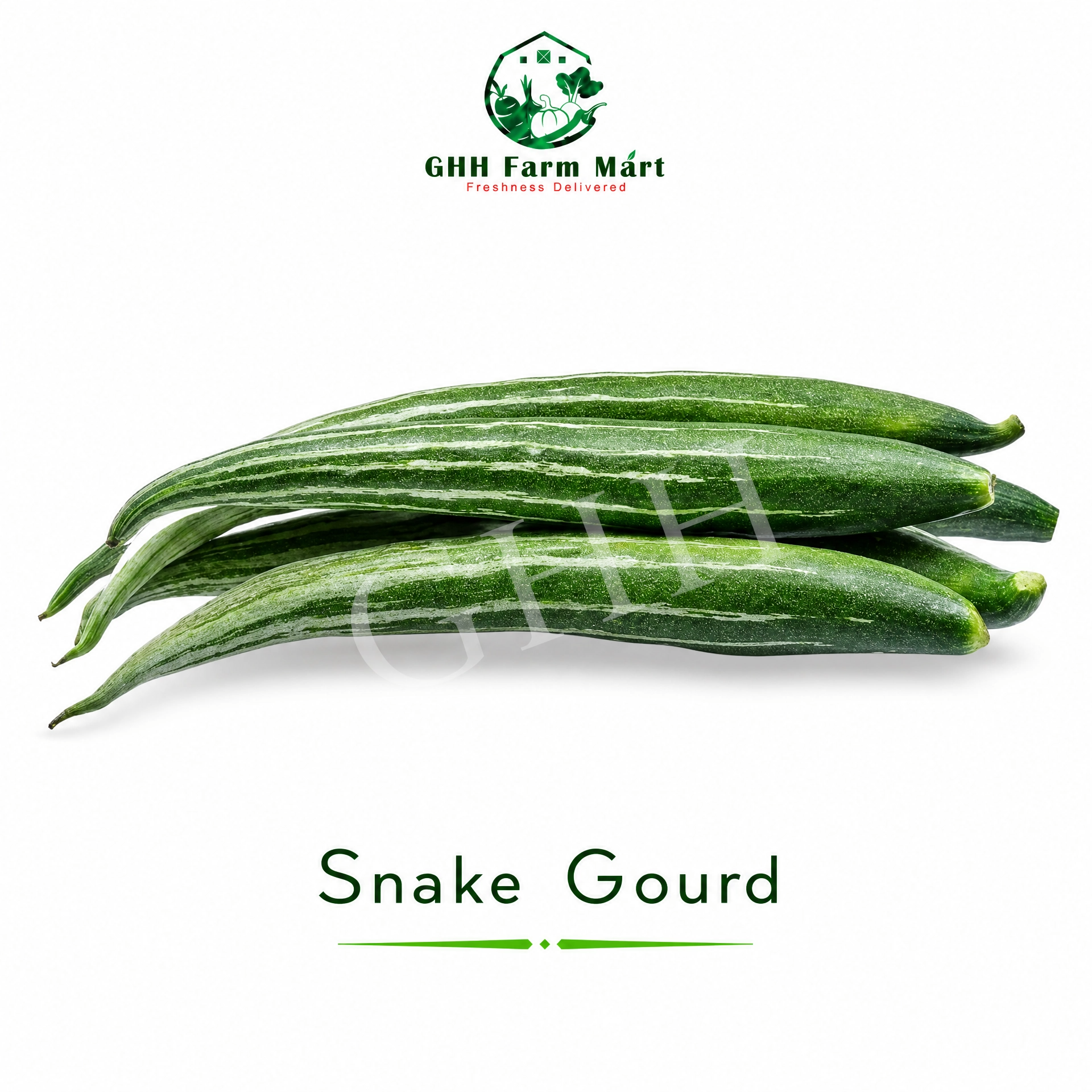 Snake Gourd