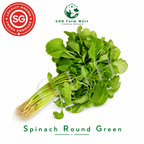 Spinach Round Green