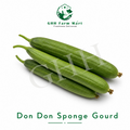 Don Don Sponge Gourd