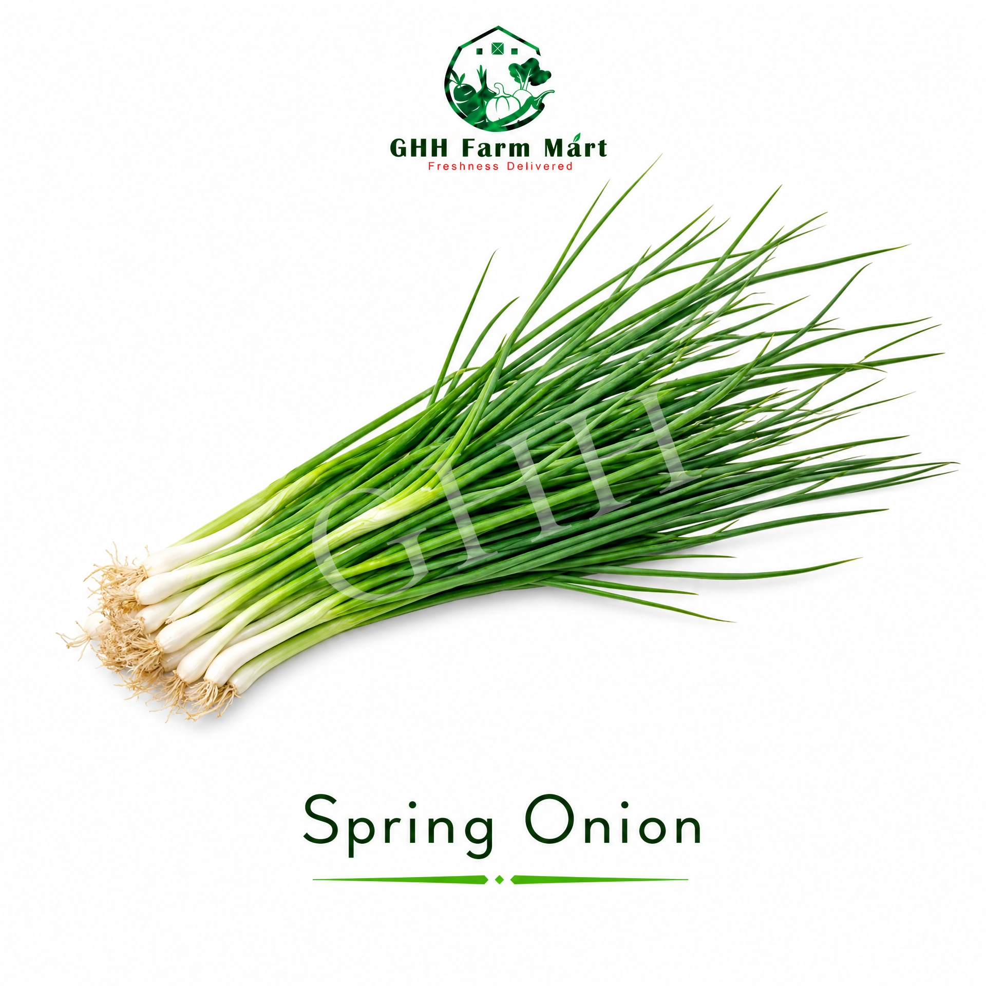 Spring Onion