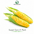 Sweet Corn ( 1 Pair)