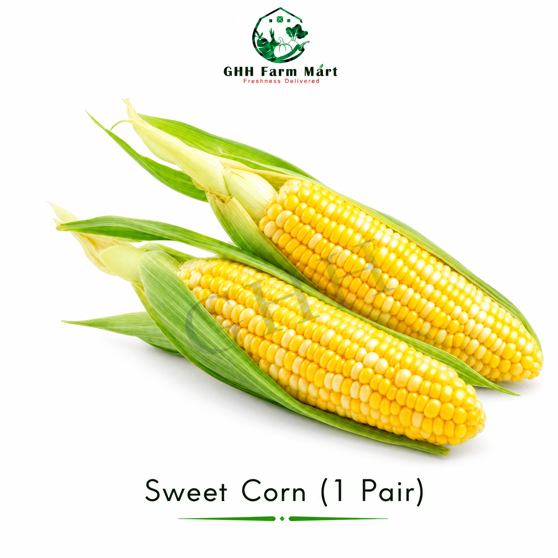 Sweet Corn ( 1 Pair)