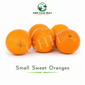 Small Sweet Oranges