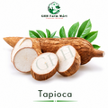 Tapioca