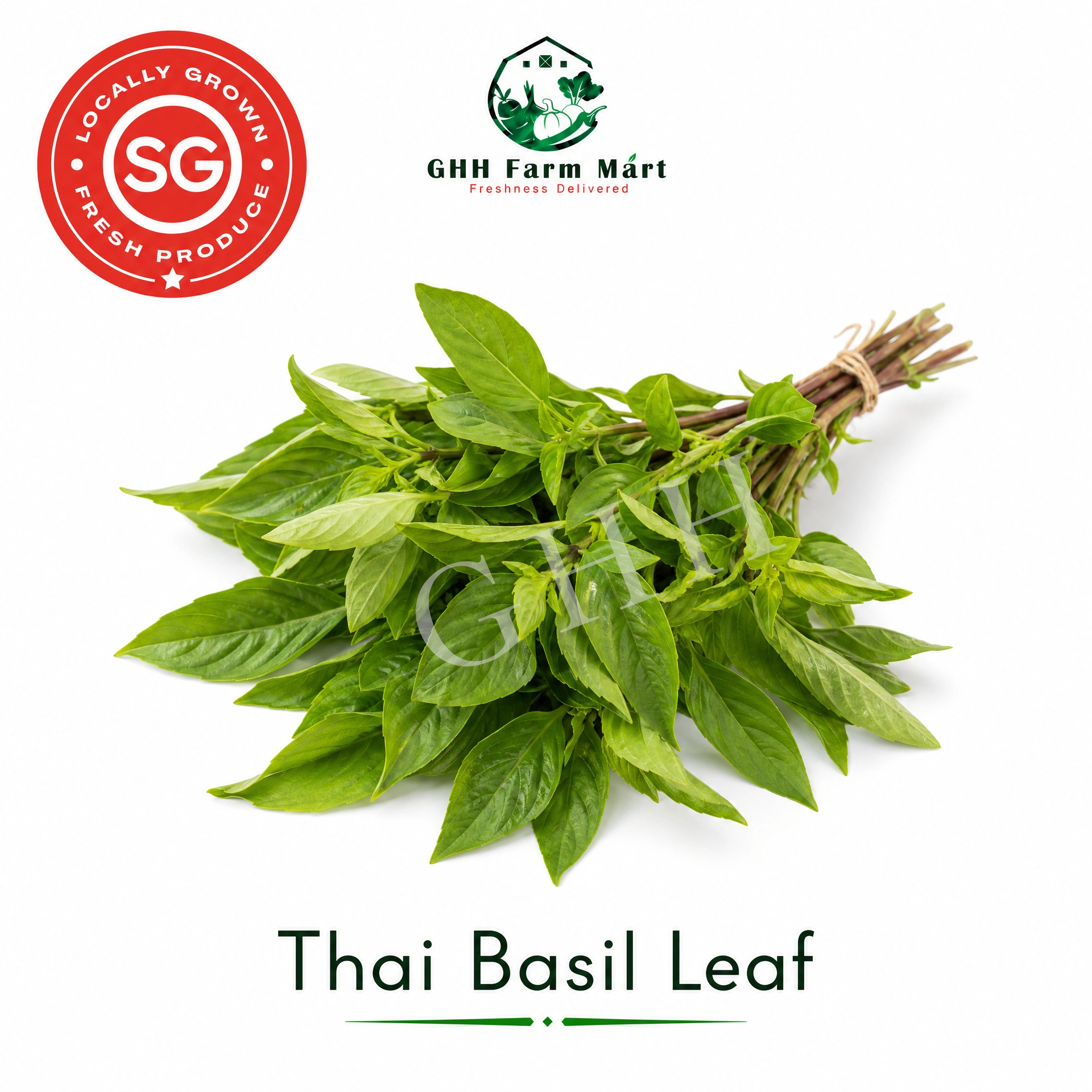 Thai basil Leaf