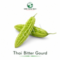Thai Mini Bitter Gourd