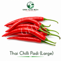 Thai Chilli Padi (Large)
