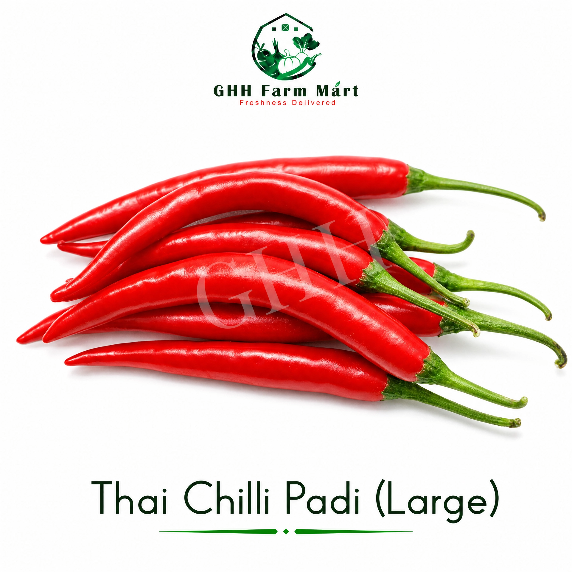 Thai Chilli Padi (Large)