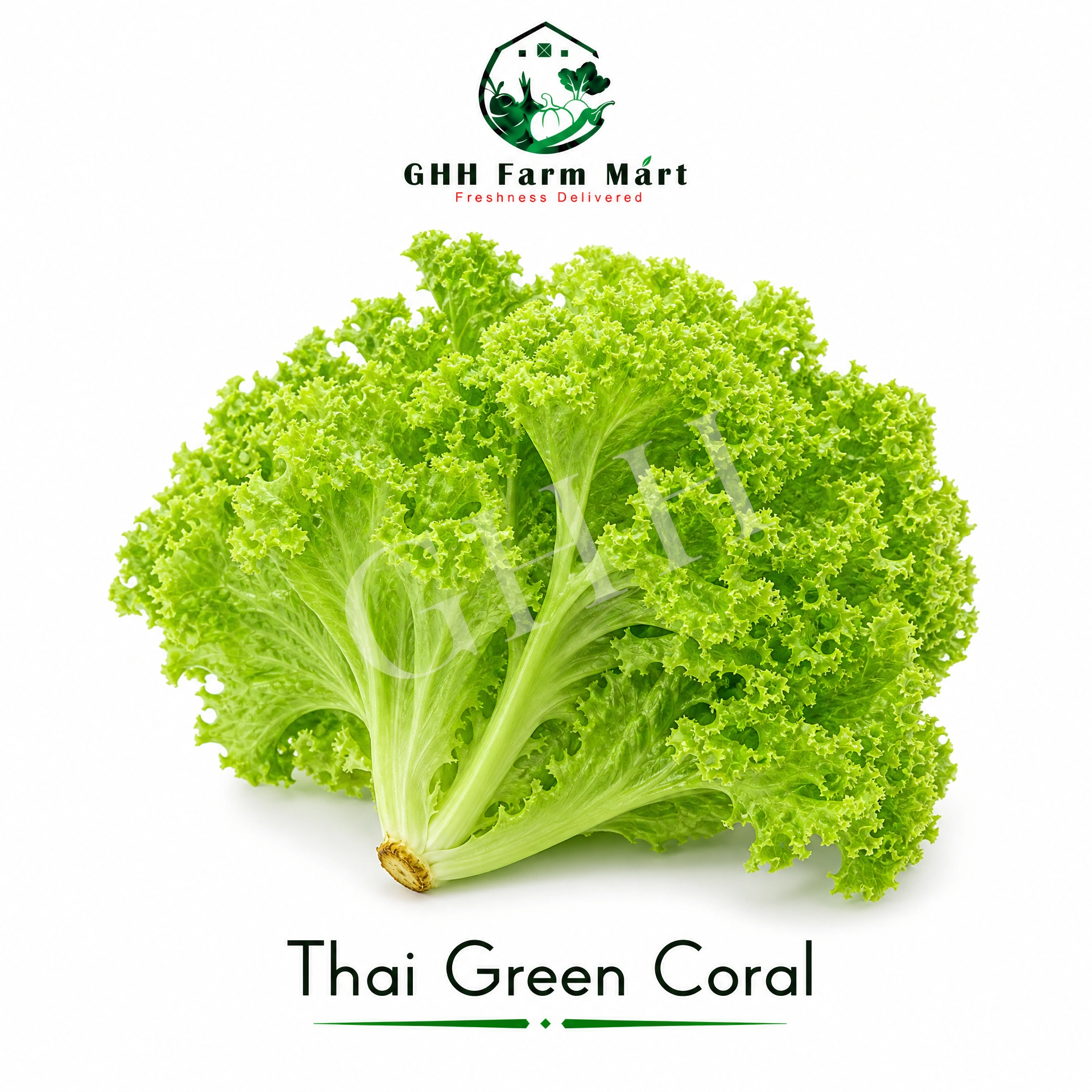 Thai Green Coral