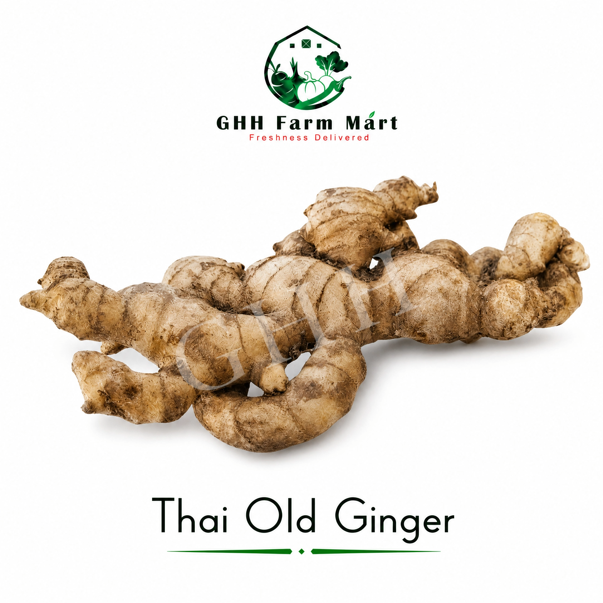 Thai Old Ginger