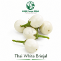 Thai White Brinjal