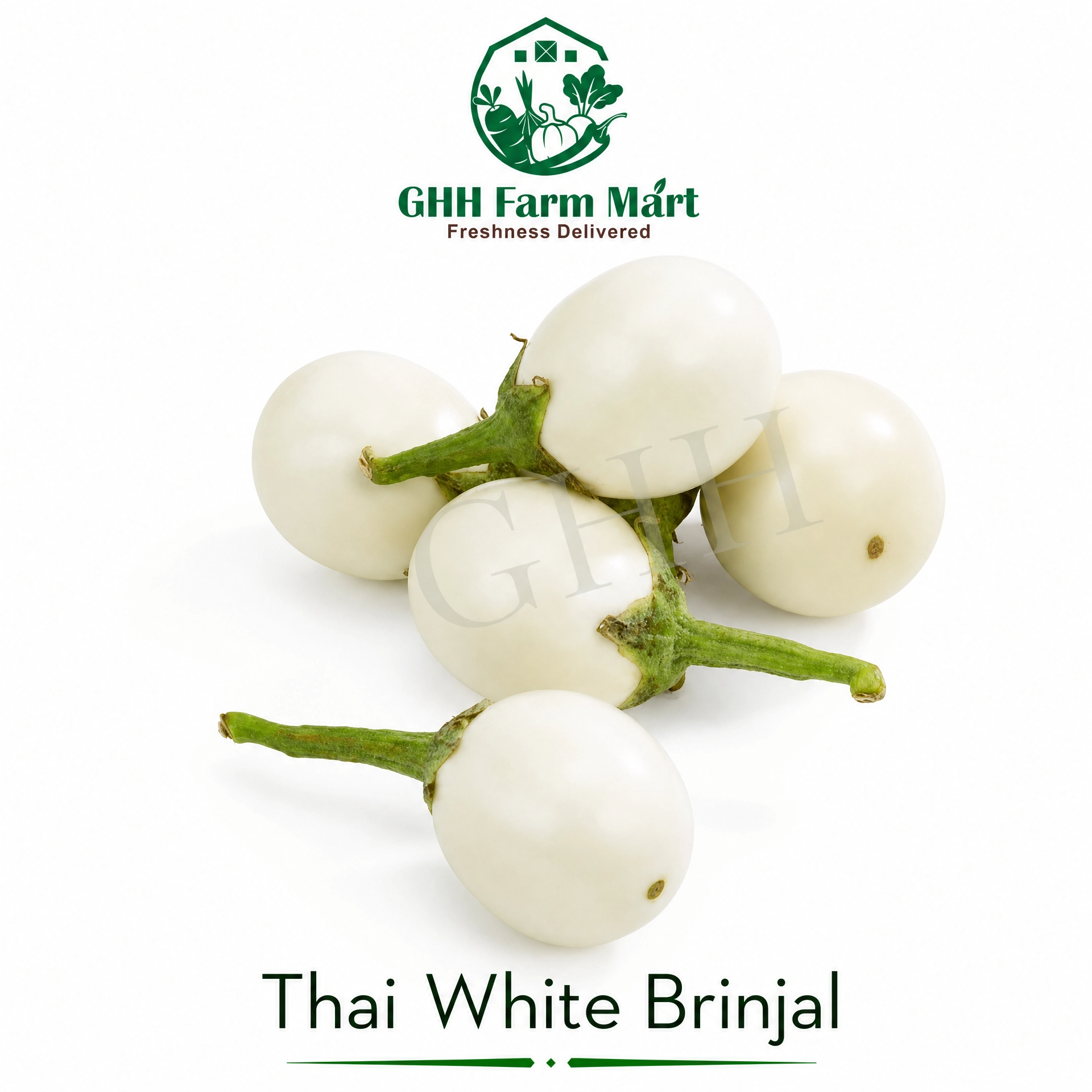Thai White Brinjal