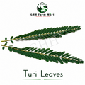 Turi Leaves