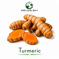 Turmeric