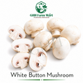 White Button Mushroom