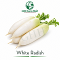 White Radish