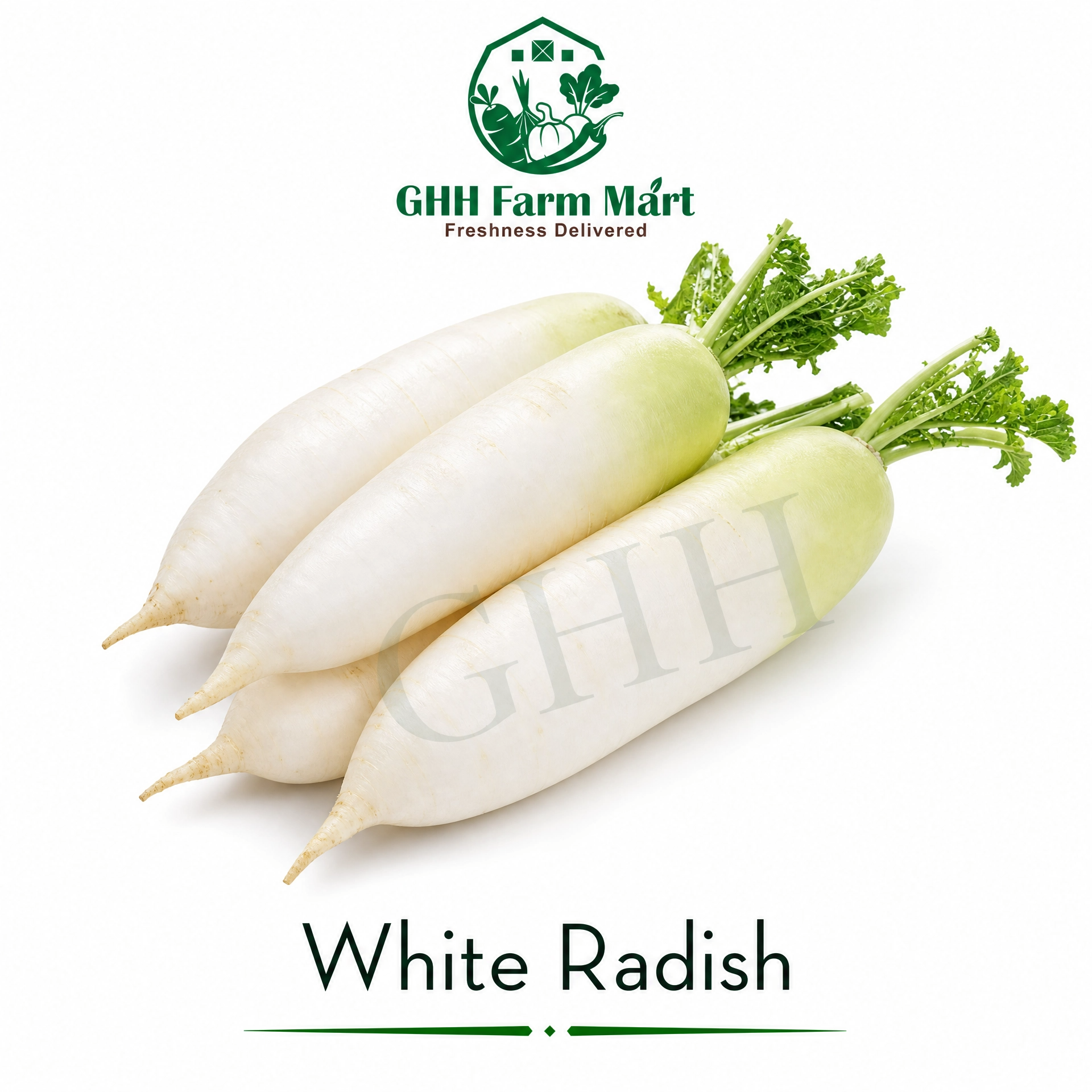 White Radish